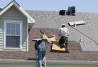 Pointer Mountainskylights-2.jpg; ?>